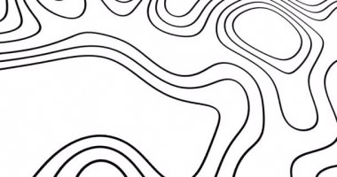 Beyaz arka planda hareket eden siyah izohipslerin animasyonu. Renkler, şekiller, hareket ve soyutlama konsepti dijital olarak oluşturulmuş video.