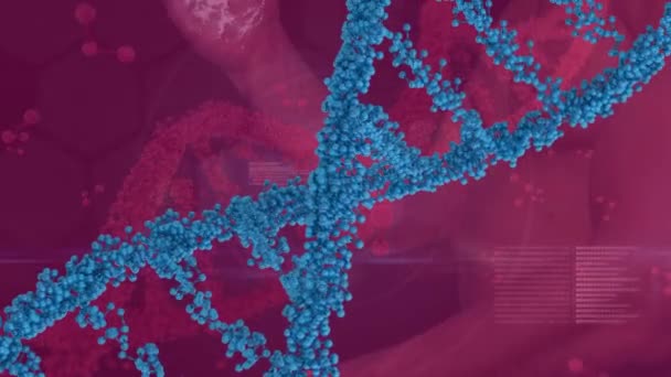 Animation Dna Data Processing Human Hands Red Background Science Chemistry — Stockvideo