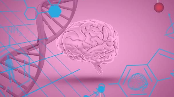 Animation Chemical Formulas Brain Dna Molecules Pink Background Science Chemistry — Stockvideo