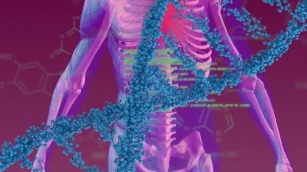 Animation Dna Strand Digital Human Chemical Formula Purple Background Global — Stockvideo