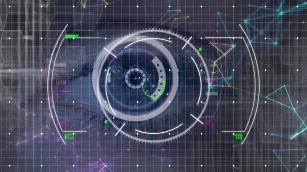 Animation Viewfinder Eye Background Global Connections Data Processing Digital Interface — Αρχείο Βίντεο