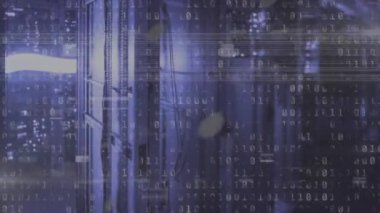 Sunucular üzerinde küresel ve ikili kodların animasyonu. Veri işleme, programlama, ağ ve teknoloji konsepti dijital olarak oluşturulmuş video.