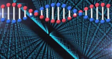 Karanlık arka planda dönen ve düşen DNA iplikçiklerinin animasyonu. Küresel covid 19 salgın, ilaç ve sağlık hizmetleri konsepti dijital olarak oluşturulmuş video.