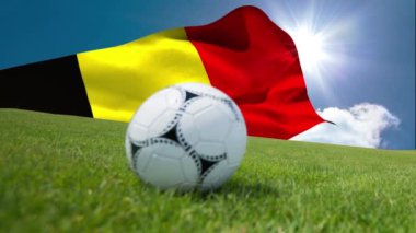 Animation of flag of belgium over football on stadium. Global sport, patriotism and digital interface concept digitally generated video.