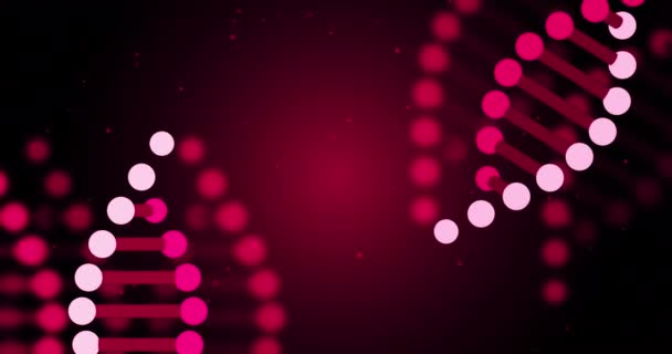 Animation Dna Strand Virus Cells Pink Background Global Medicine Digital — Stock videók