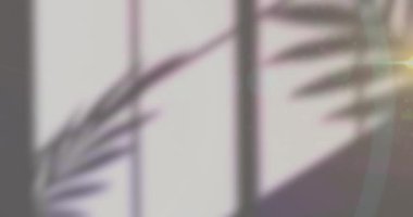 Beyaz arka plandaki gölgelerin üzerinde parlayan sarı ışıkların animasyonu. Dijital olarak oluşturulan soyut konsept.