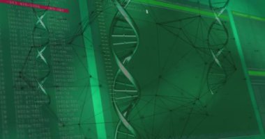 Yeşil arka planda veri, çizgi ve şekiller üzerinde dönen DNA animasyonu. Bilim, insan biyolojisi ve teknoloji konsepti dijital olarak üretilen video.