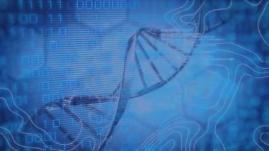 Mavi arka planda ikili kod, altıgenler ve DNA animasyonu. Bilim, biyoloji ve teknoloji konsepti dijital olarak üretilen video.