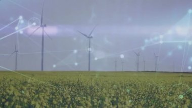 Animation of network of connections over wind turbines. Green energy, eco power, connection and technology concept digitally generated video.