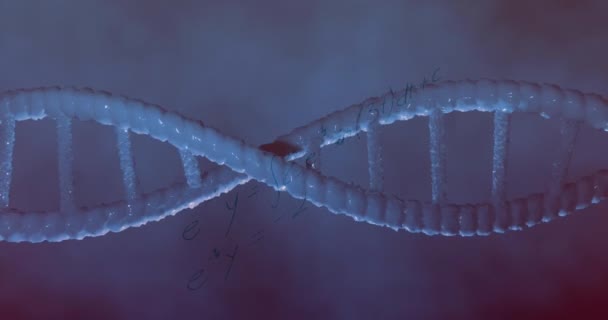 Анімація Dna Обертається Навколо Формул Математики Фіолетовому Фоні Наука Біологія — стокове відео