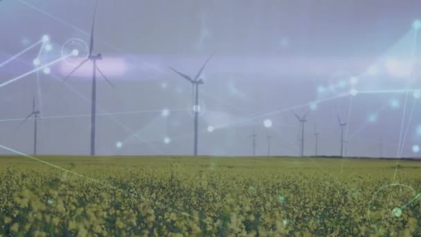 Animatie Van Het Netwerk Van Verbindingen Windturbines Digitaal Gegenereerde Video — Stockvideo