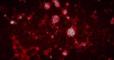 Animation of red molecules moving on black background. Colour, shape and movement concept digitally generated video.