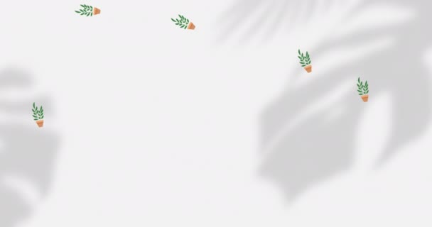 Animation Fallender Grüner Topfpflanzen Über Schatten Auf Weißem Hintergrund Abstraktes — Stockvideo