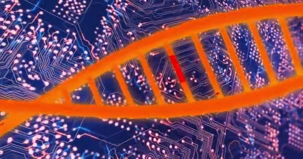 Animation Dna Strand Computer Circuit Board Black Background Global Business — ストック動画