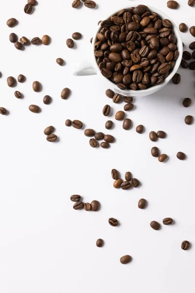 Image Pill Coffee Beans Cup Coffee Beans White Background Coffee — Stock fotografie