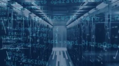 Sunucular üzerinde veri işleme animasyonu. Ağ, bilgisayarlar, veri işleme ve teknoloji konsepti dijital olarak oluşturulmuş video.