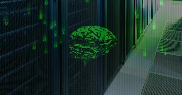Animation Data Processing Digital Brain Server Room Global Technology Computing — ストック動画