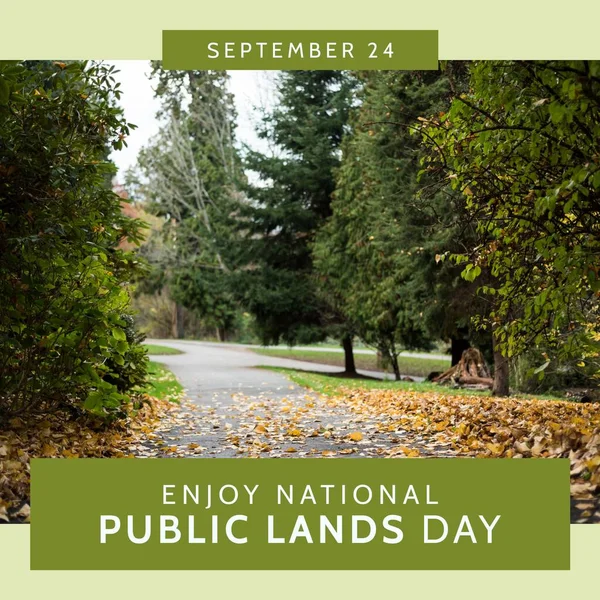 Composition Enjoy National Public Lands Day Text Landscape Green Background — Stockfoto