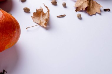 Beyaz arka planda meşe palamudu ve sonbahar yapraklı balkabağı bileşimi. Cadılar Bayramı, sonbahar, gelenek ve kutlama konsepti.