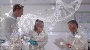 Kafkas bilimci froup üzerinde bilimsel veri işleme animasyonu. Küresel bilim, bağlantılar, veri işleme ve dijital arayüz kavramı dijital olarak oluşturulmuş video.