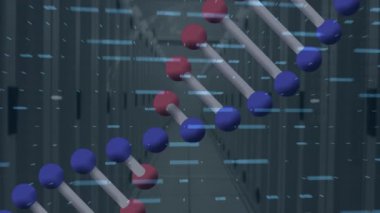 Animation of dna strand and globe with data processing over server room. Global technology, computing and digital interface concept digitally generated video.