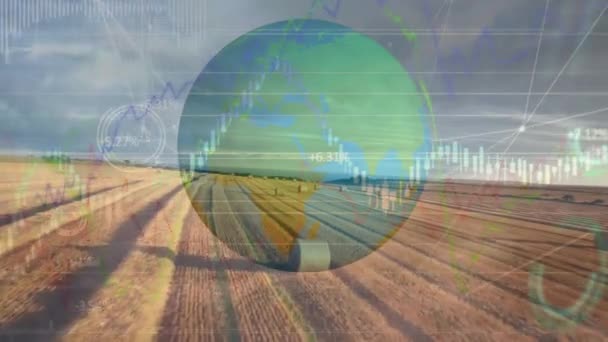 Animation Data Processing Globe Landscape Global Business Finances Digital Interface — Stockvideo