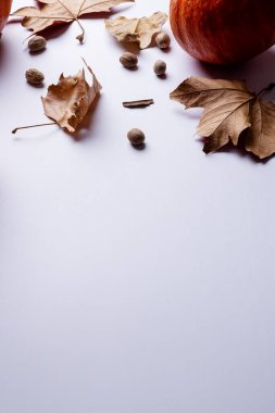 Beyaz arka planda meşe palamudu ve sonbahar yapraklı balkabağı bileşimi. Cadılar Bayramı, sonbahar, gelenek ve kutlama konsepti.