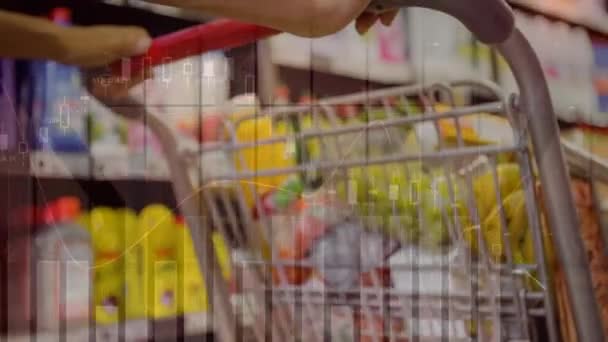 Animation Graphs Hands Caucasian Woman Holding Shopping Cart Business Trade — Stockvideo