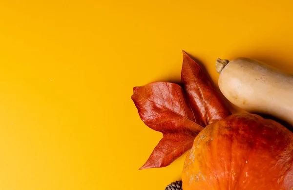 Samenstelling Van Pompoenen Met Dennenappels Herfstbladeren Oranje Achtergrond Halloween Herfst — Stockfoto