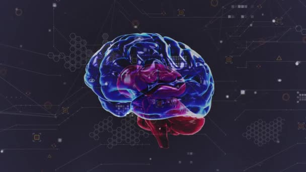 Animation Brain Icons Black Background Human Biology Mind Data Processing — Vídeos de Stock