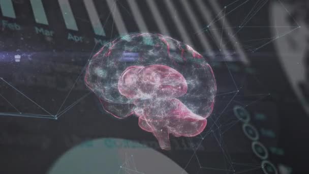 Animation Brain Graphs Connections Black Background Human Biology Mind Data — 비디오