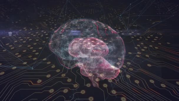 Анімація Мозку Над Інтегральною Схемою Чорному Тлі Людська Біологія Розум — стокове відео