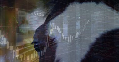 Image of data processing over horse. Global technology, computing and digital interface concept digitally generated image.