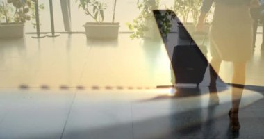 Animation of plain in the air hangar over airport terminal. Travel, holidays, aircraft a concept digitally generated video.