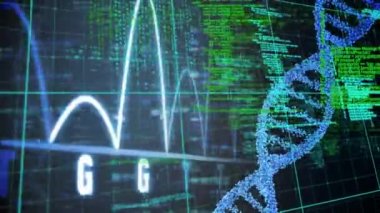 Veri işleme ve DNA iplikçiklerinin dönüşünün animasyonu. küresel bilim, hesaplama, veri işleme ve dijital arayüz kavramı dijital olarak oluşturulmuş video.