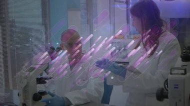 Mikroskop ile çeşitli kadın ve erkek laboratuvar çalışanları arasındaki bağlantıların animasyonu. Bilim, tıp ve laboratuar konsepti dijital olarak üretilen video.