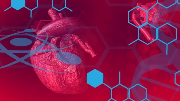 Animation Chemical Formulas Hear Model Heart Rate Red Background Science — Vídeos de Stock