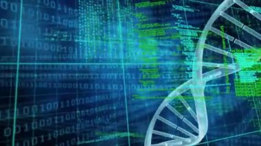 İkili kodlama, veri işleme ve DNA iplikçiklerinin döndürülmesi. küresel bilim, hesaplama, veri işleme ve dijital arayüz kavramı dijital olarak oluşturulmuş video.