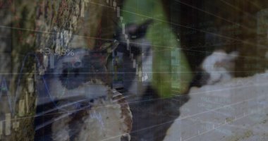 Ofiste çalışan iş adamlarının mali veri işleme görüntüsü. Bağlantı teknolojisi ve dijital arayüz konsepti dijital olarak oluşturuldu.