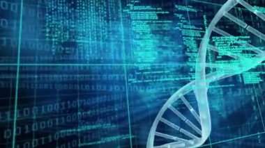 İkili kodlama, veri işleme ve şebekede dönen DNA ipliklerinin animasyonu. küresel bilim, hesaplama, veri işleme ve dijital arayüz kavramı dijital olarak oluşturulmuş video.