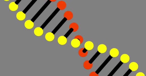 Animation Dna Rotating Grey Background Science Human Biology Concept Digitally — Video