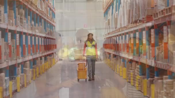 Animation Female Warehouse Worker Group Diverse Business People Global Business — Vídeo de stock