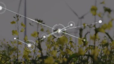 Rüzgar türbinlerinin üzerindeki bağlantı ağının animasyonu. Küresel çevre, yeşil enerji ve bağlantılar dijital olarak oluşturulmuş video konsepti.