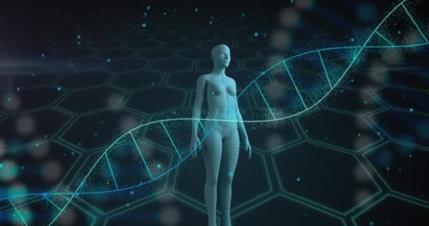 Animation Dna Strands Scientific Data Processing Human Body Global Science — Stockvideo