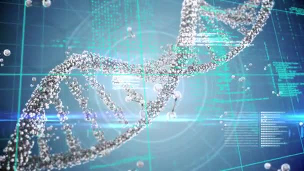 Animation Data Processing Dna Strand Spinning Global Science Research Digital — Stock videók