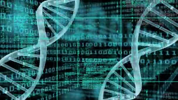 Animation Binary Coding Data Processing Dna Strands Spinning Global Science — 图库视频影像