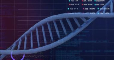 Animation of data processing over dna strand over dark background. Global science, connections, data processing and digital interface concept digitally generated video.