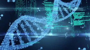 3D DNA iplikçikleri üzerinde veri işleme animasyonu dönüyor. küresel bilim, hesaplama, veri işleme ve dijital arayüz kavramı dijital olarak oluşturulmuş video.