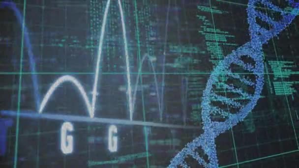 Animasi Pengolahan Data Dan Untaian Dna Berputar Atas Grid Global — Stok Video