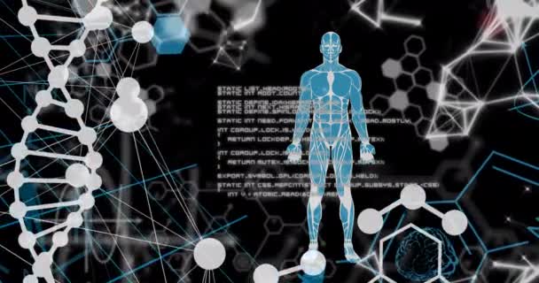 Animation Dna Strand Scientific Data Processing Human Body Global Science — Αρχείο Βίντεο